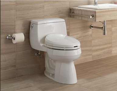 Bidet Toilet Seats