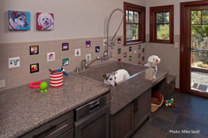 Pet Grooming Stations