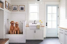 Dog Grooming Station