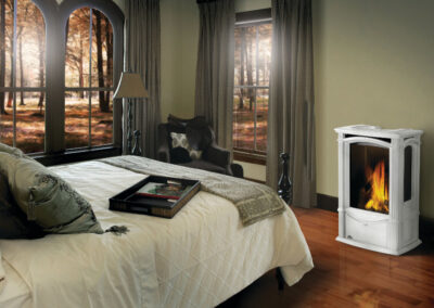 Gas Fireplace