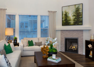 Gas Fireplace